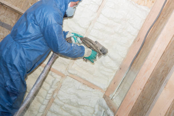 Best Eco-Friendly or Green Insulation Solutions  in Dickinson, TX